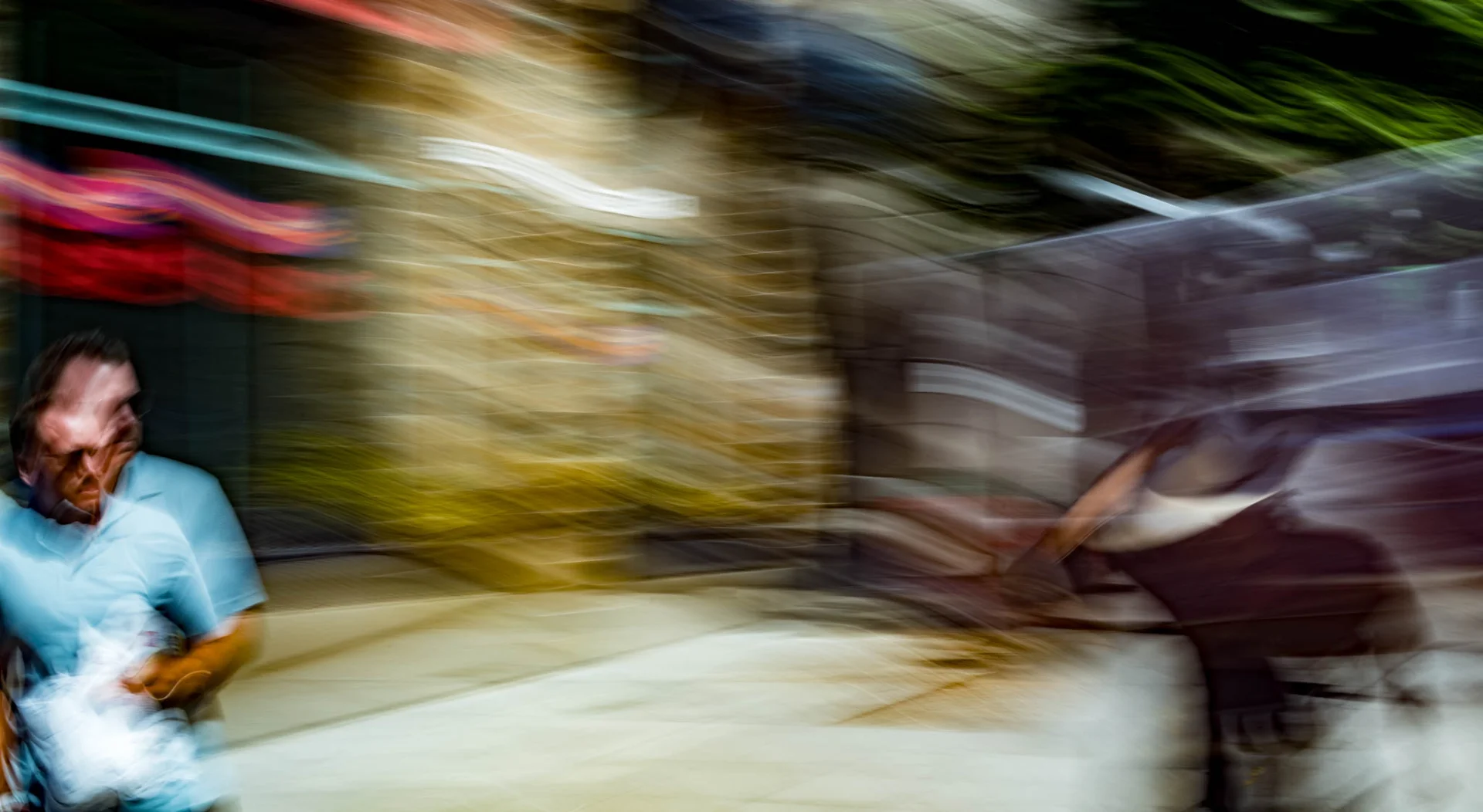L1005979.webp