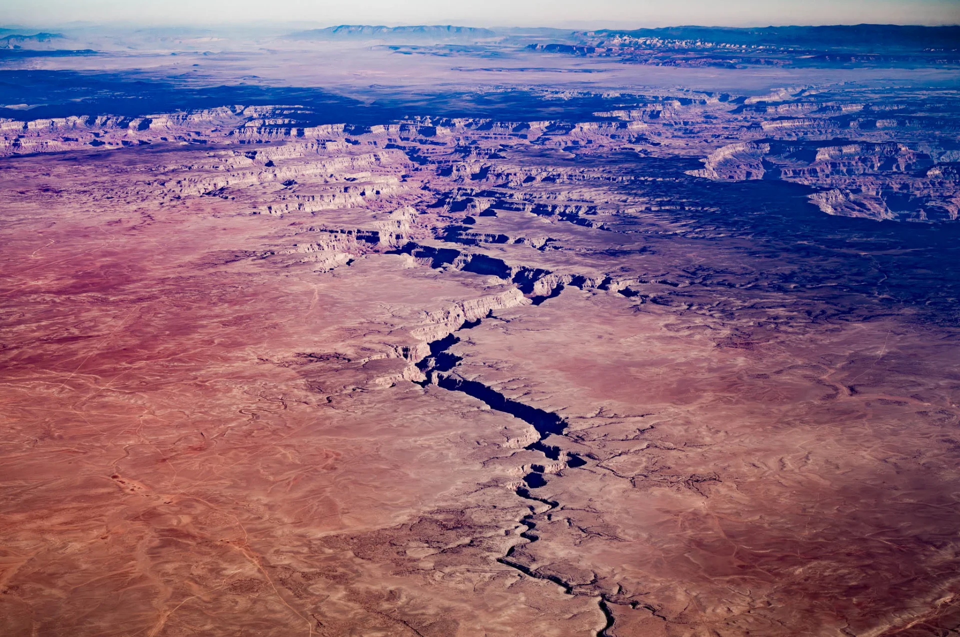 L1006719.webp