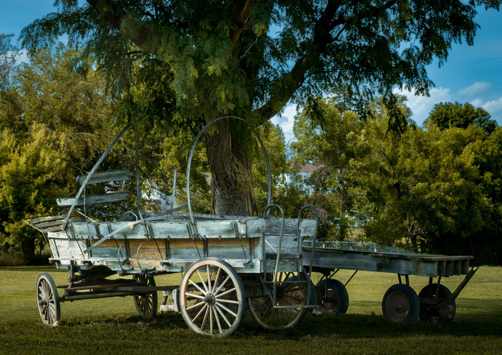 L1006902.webp
