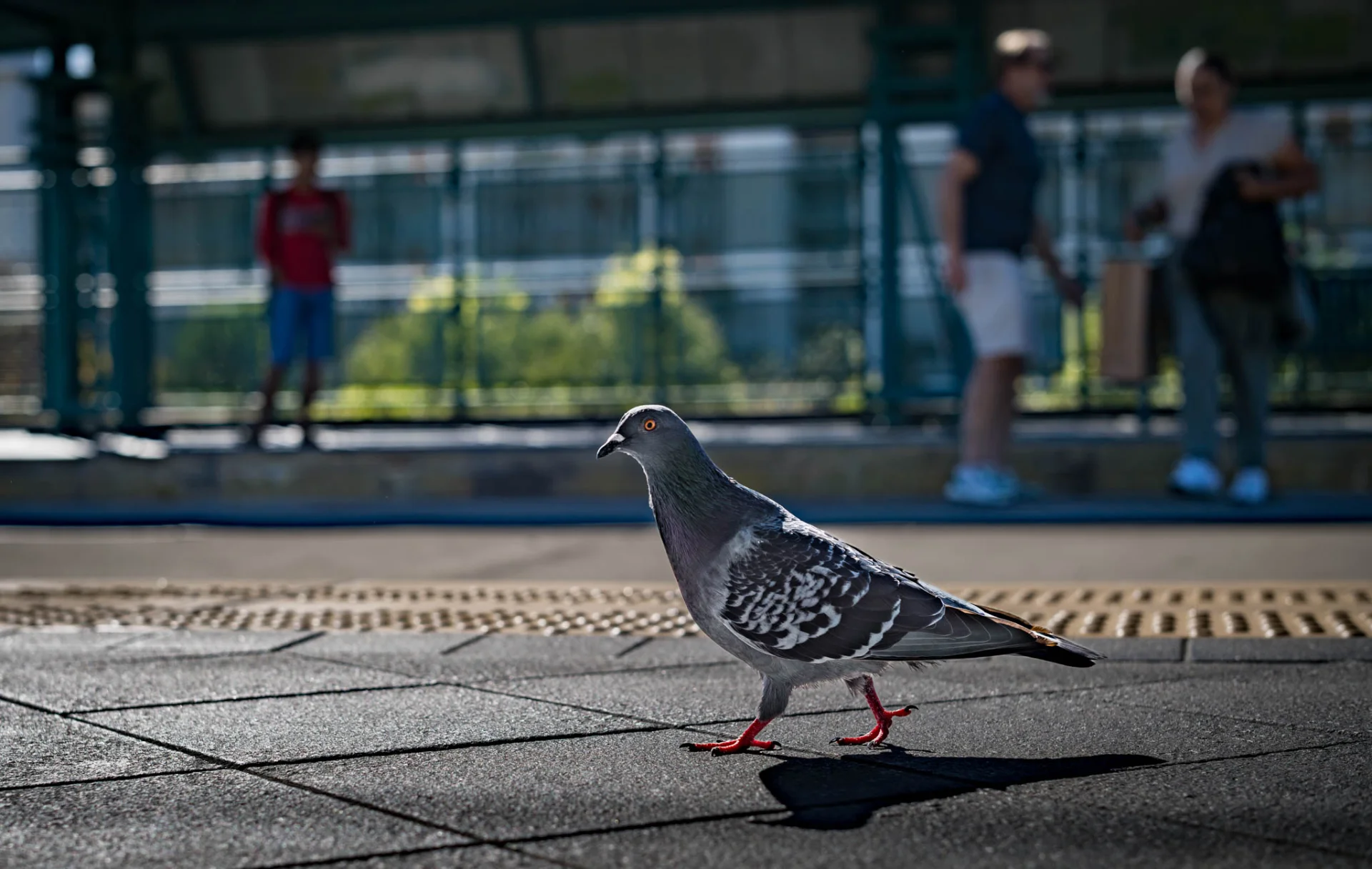 L1006907.webp