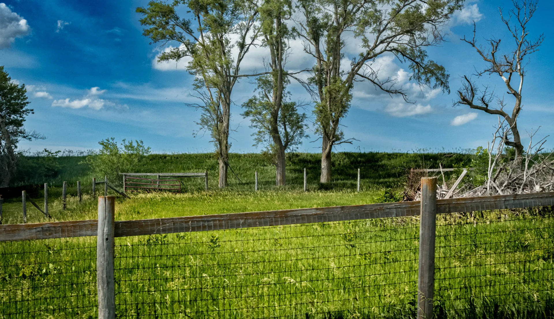 L1006913.webp