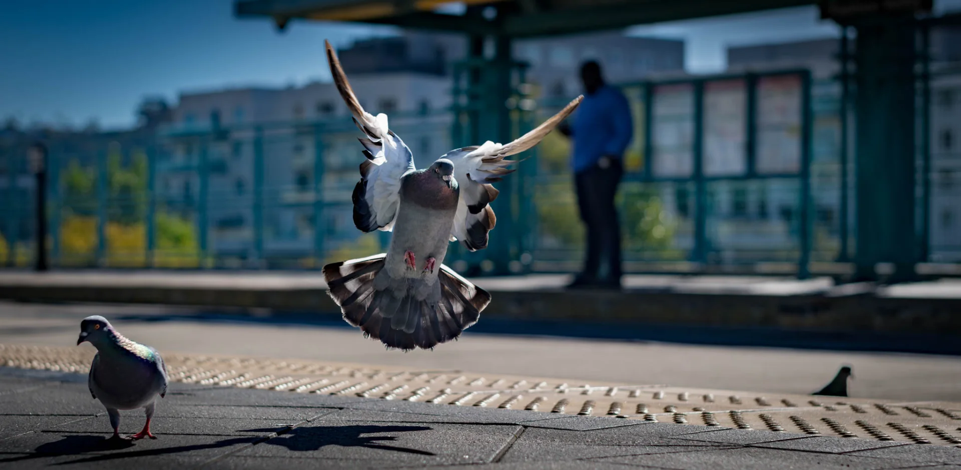 L1006914.webp
