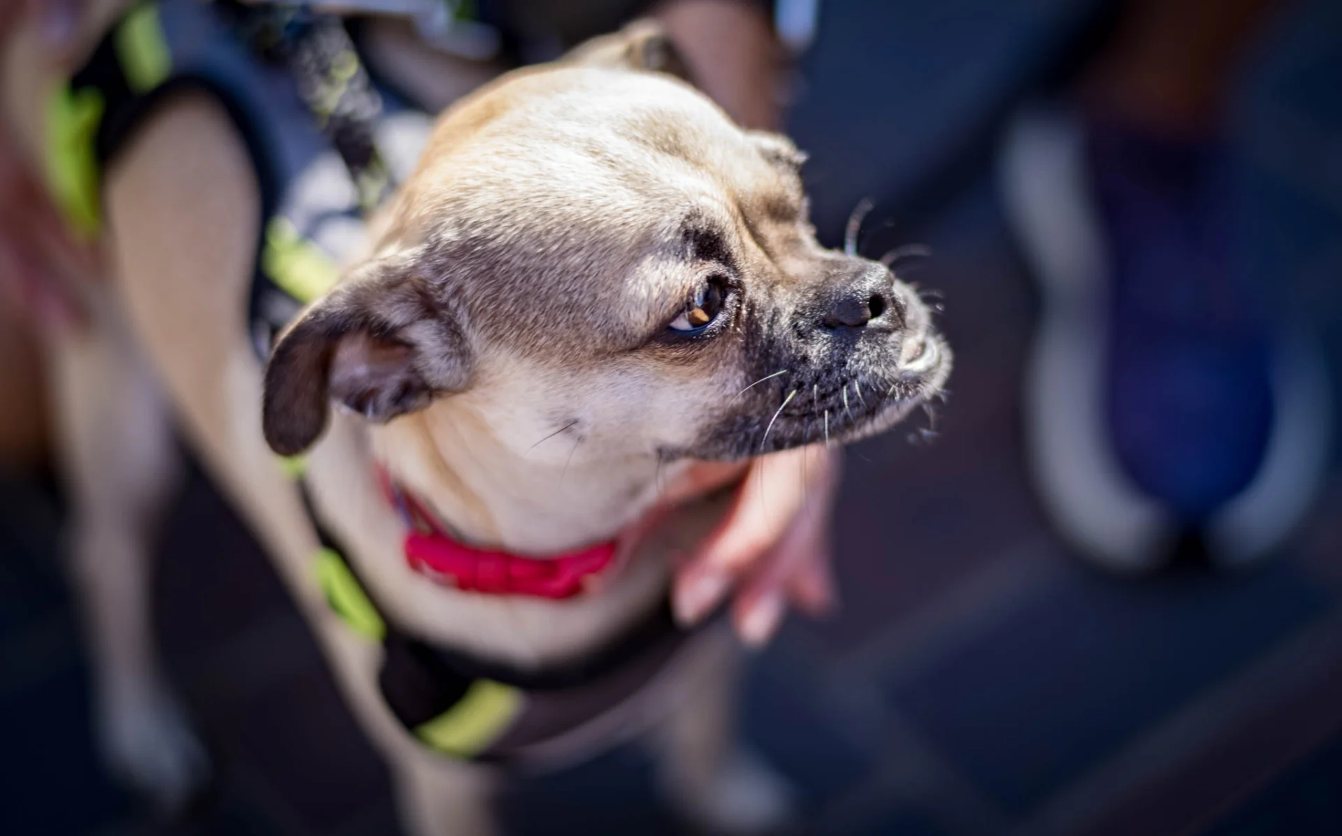 L1007156.webp