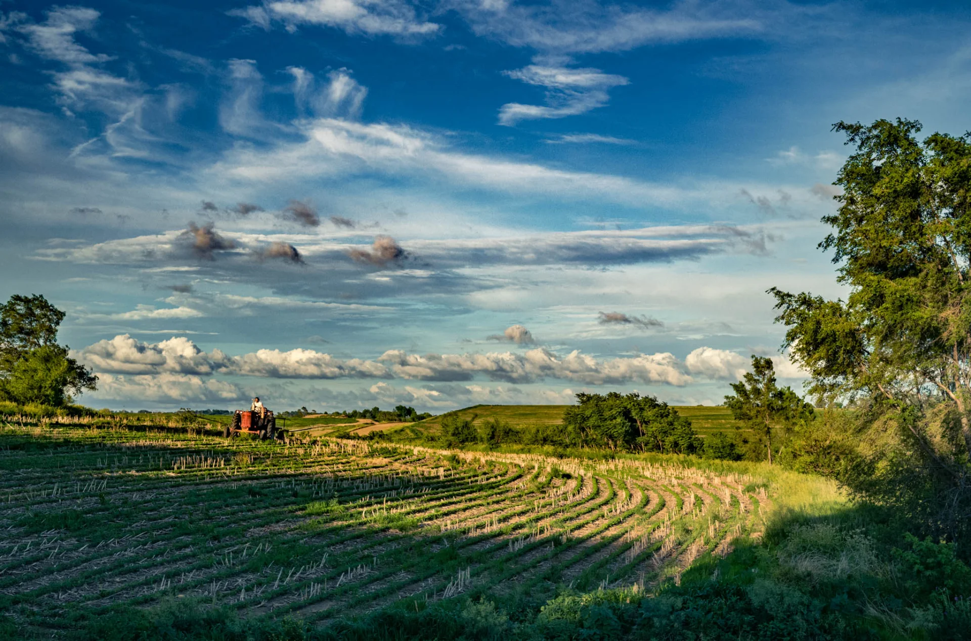 L1007313.webp