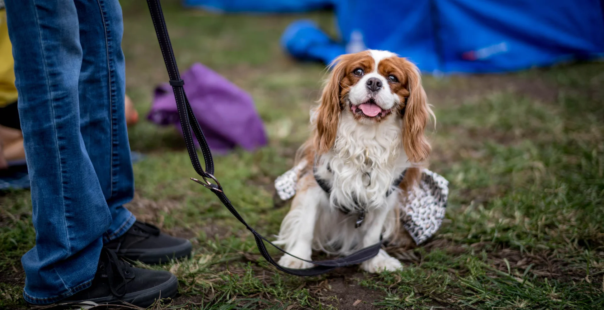 L1007405.webp