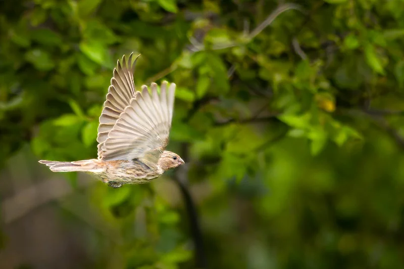 L1010094-2.webp
