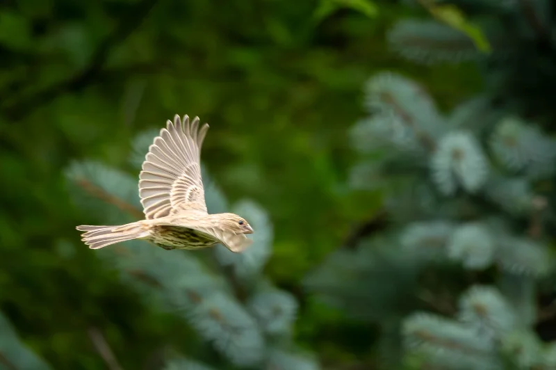 L1010095.webp