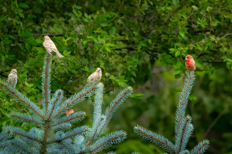 L1010106.webp