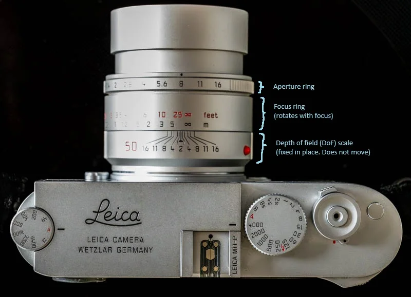 L1050299.webp