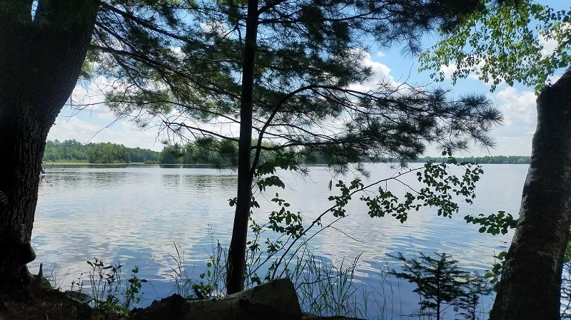 Lake View.webp