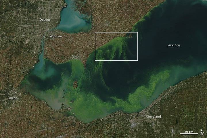 lakeerie_amo_2011282.jpg