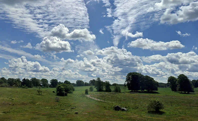 Landscape (1).webp