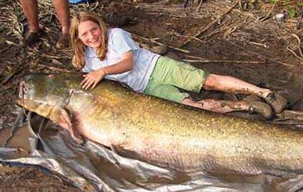 large-fish-record-girl-catch-365ds071609.jpg
