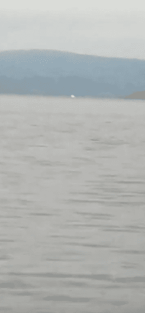 laser 16.4 miles.png