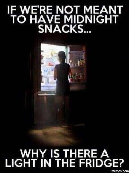 light in fridge.jpg