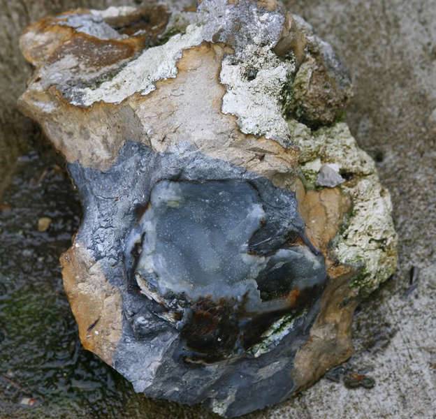 limegeode.jpg
