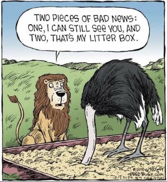 litter-box.jpg