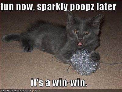 Lol+Cat+Sparkly+Poopz+untitled.jpg