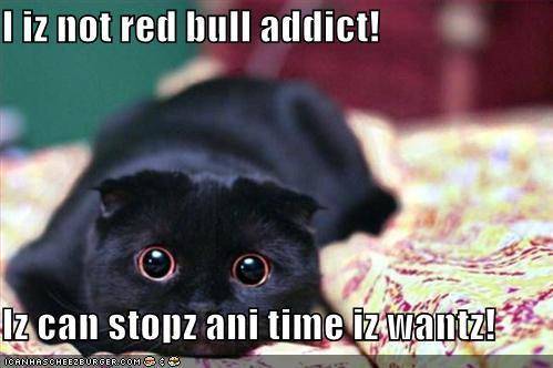 lol-cats-lol-cats-10311409-499-332.jpg