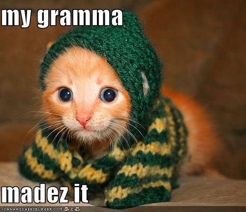 lolcat.jpg