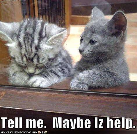 lolcat-sad.jpg