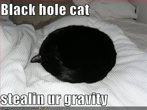 lolcat_blackhole.jpg