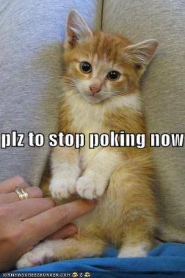 lolcats.jpg
