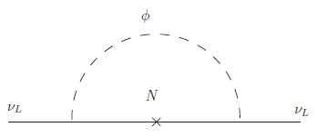 loop.jpg
