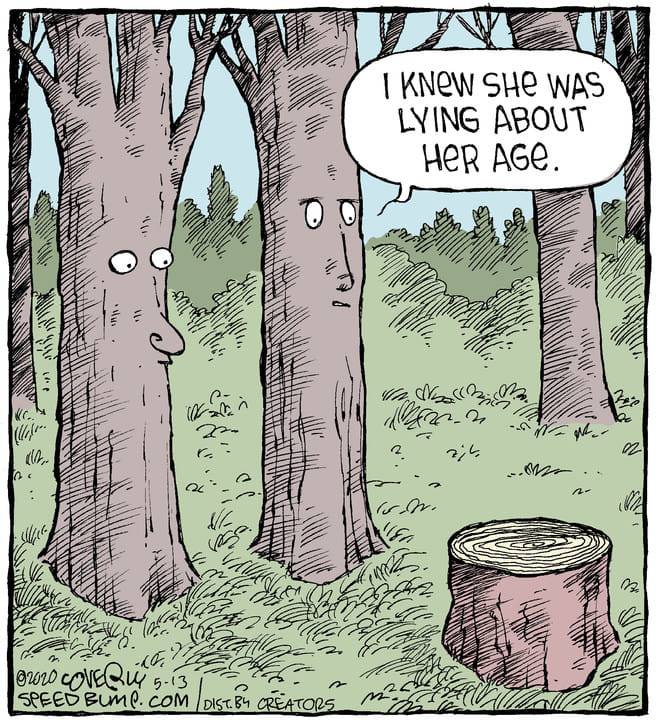 lying about age.jpg