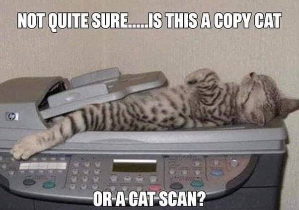 main-qimg-0b6eff80ce84a60cac69519e969fe58b.jpeg