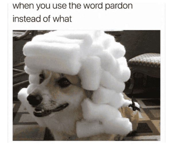 main-qimg-1c0d936e02ce381bea668069940f5c48.png