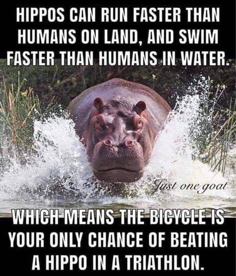 main-qimg-2545a1cb465280b449c74c35180e89bf-lq.jpeg