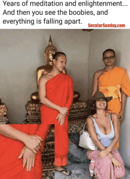 main-qimg-379d3d769a5cdf7a2fd3ea3a8e88d45b.png