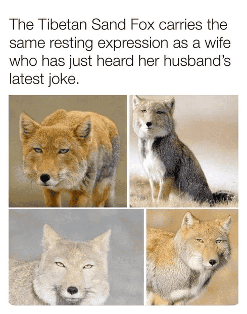 main-qimg-497ca9027e7da70d24493c9e28d03fca.png