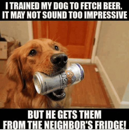 main-qimg-a019a72899e5cf9e8660c1b2977658d3.png