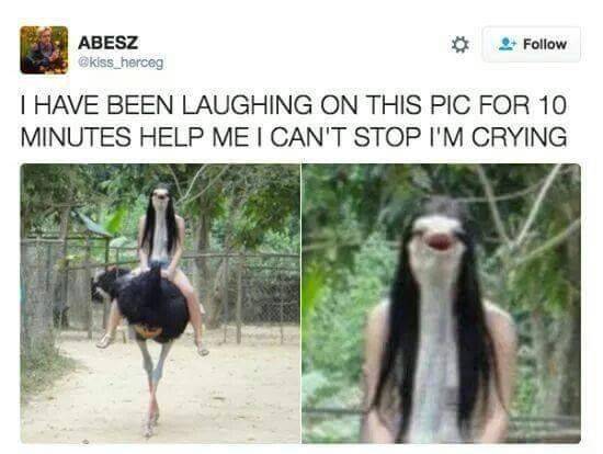 main-qimg-b04583a13a911672d36a49c7e0c322b0.jpeg
