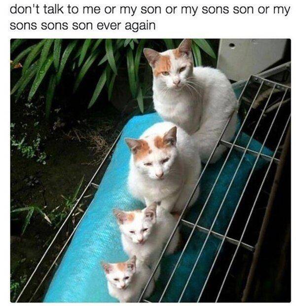 main-qimg-bdf81c0c05cf946bad60fed9a1b0e733-lq.jpeg
