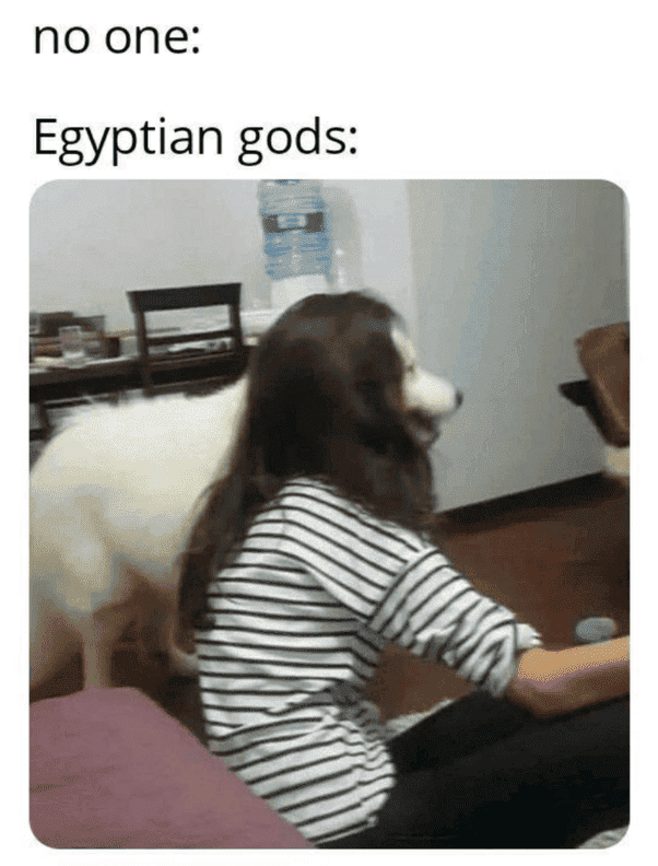 main-qimg-cc7655d4ea3ef9d93c0feb3bfd7b2253.png