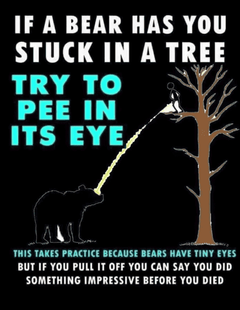 main-qimg-cfa6ff7cf3df04323f408186294ce175.png