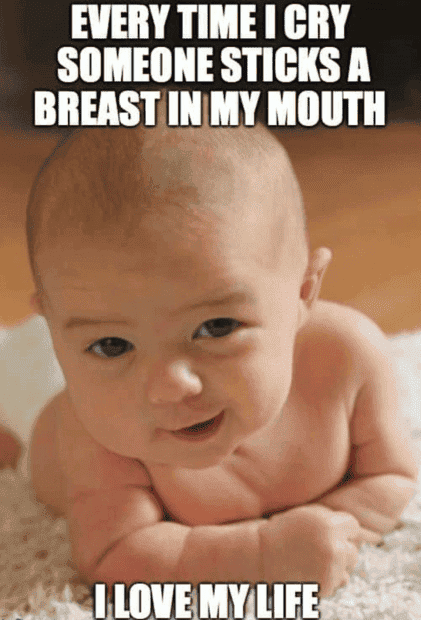 main-qimg-d06775e172324e90cb1b3bdb69407ba0.png