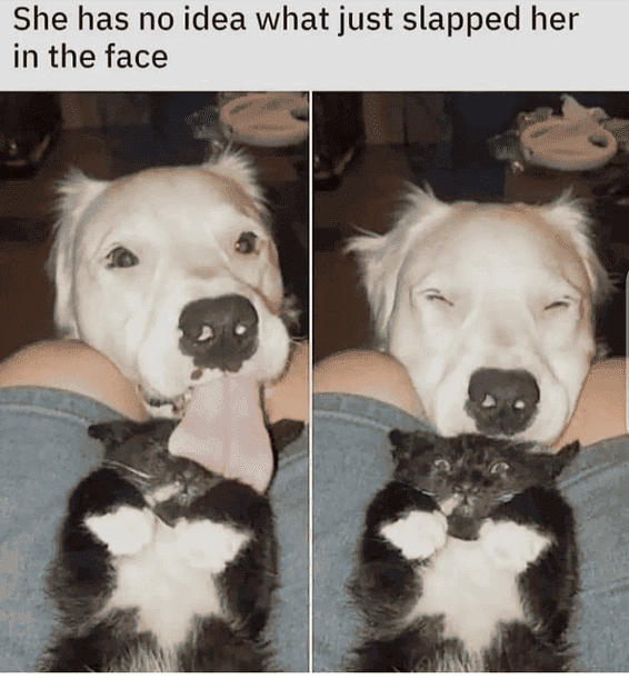 main-qimg-df092093acbb81da73859a0986b8e784.png
