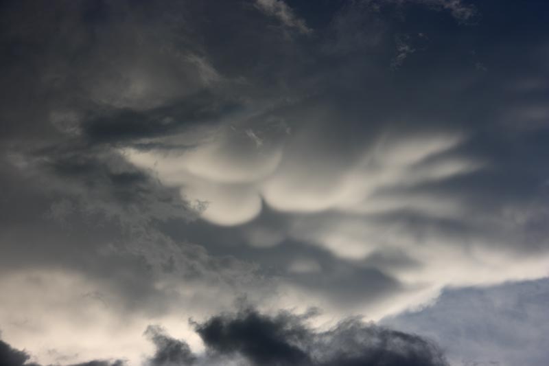 mammatus.jpg