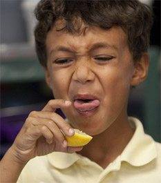 marathi-taste.jpg
