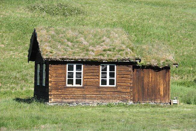 marcin_grass_of_home.jpg