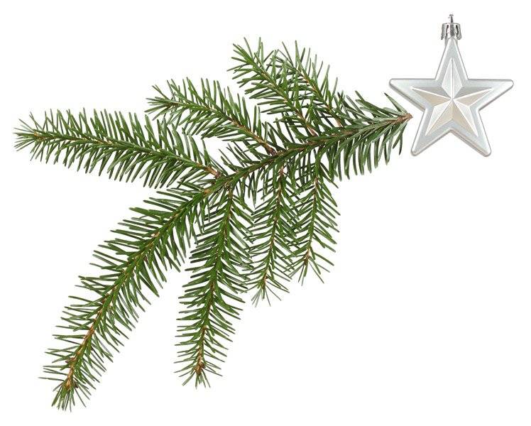 marcin_holiday_decorations.jpg