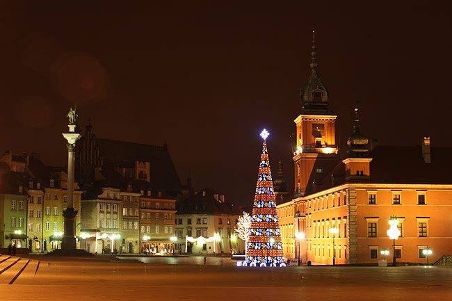 marcin_holiday_lights.jpg