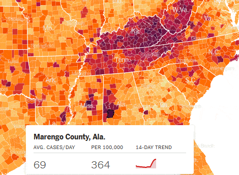 margengo nyt curve.gif