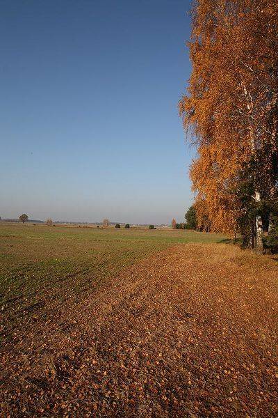 marzena_autumnal.jpg