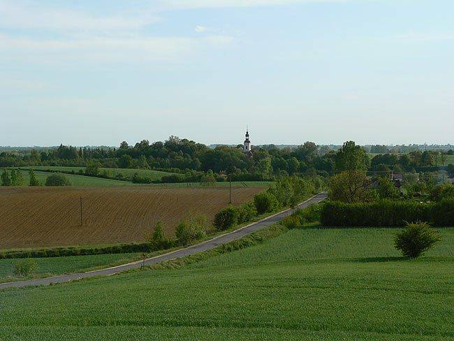 marzena_grass.jpg