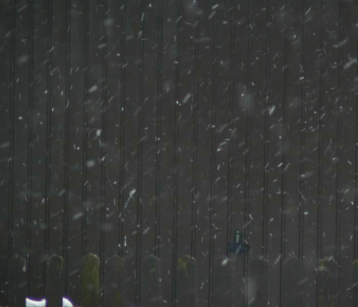 marzena_it's_snowing.jpg